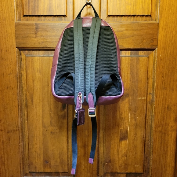 Coach Jes Berry Multi Pebbled Leather Small Backpack Varsity Stripe F89167 - Picture 15 of 16